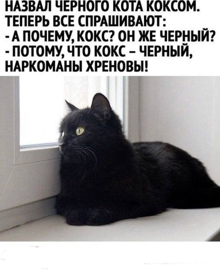 НАЗВАЛ ЧЕРНОГО КОТА КОКСОМ. ТЕПЕРЬ ВСЕ СПРАШИВАЮТ: - А ПОЧЕМУ, КОКС? ОН ЖЕ ЧЕРНЫЙ? - ПОТОМУ, ЧТО КОКС — ЧЕРНЫЙ, НАРКОМАНЫ ХРЕНОВЫ!