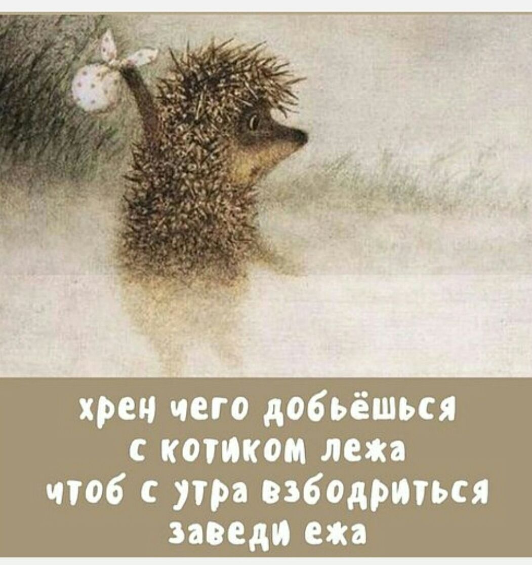 хрен чего добьёшься с котиком лежа чтоб с утра взбуддиться заведи ёжа