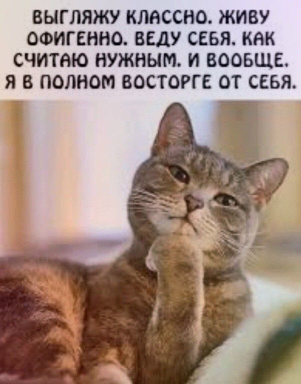 ВЫГЛЛЯЖУ КЛАССНО. ЖИВУ ОФИГЕННО. ВЕДУ СЕБЯ, КАК СЧИТАЮ НУЖНЫМ. И ВООБЩЕ, Я В ПОЛНОМ ВОСТОРГЕ ОТ СЕБЯ.