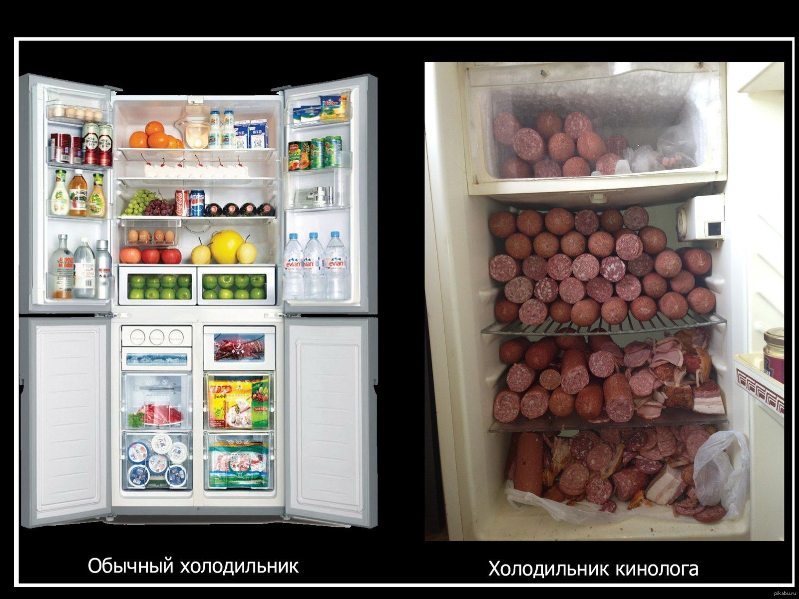 Обычный холодильник 
Холодильник кинолога