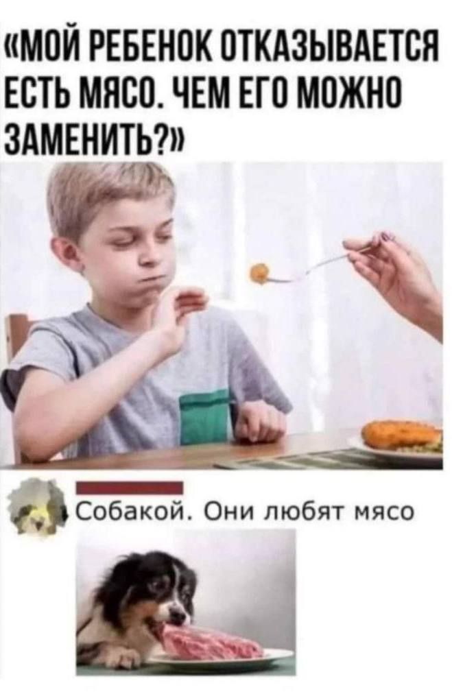 «МОЙ РЕБЕНОК ОТКАЗЫВАЕТСЯ ЕСТЬ МЯСО. ЧЕМ ЕГО МОЖНО ЗАМЕНИТЬ?» Собакой. Они любят мясо
