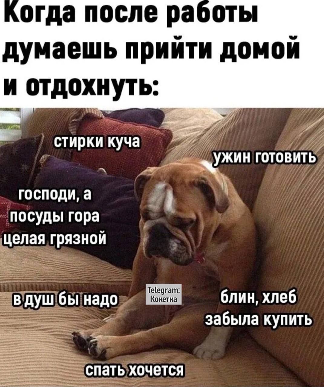 Когда после работы думаешь прийти домой и отдохнуть:
стирки куча
господи, а посуды гора
целая грязной
ужин готовить
блин, хлеба забыла купить
в душу бы надо
спать хочется
