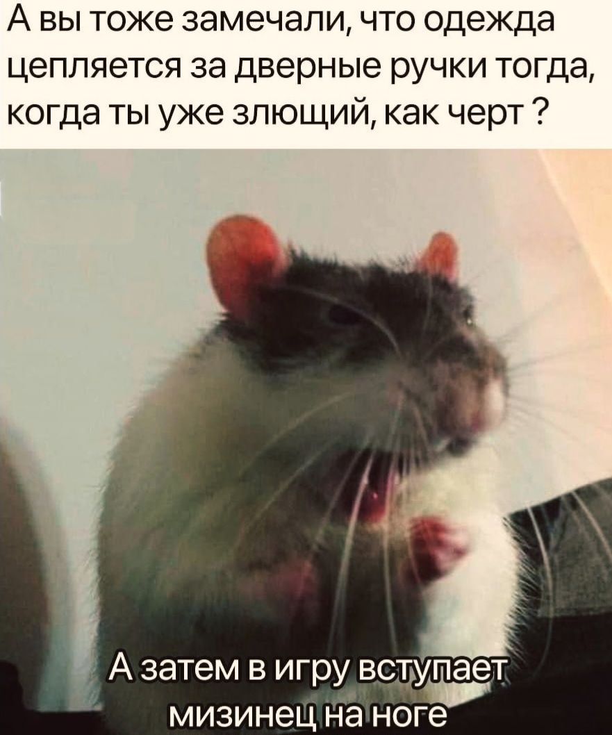 А вы тоже замечали, что одежда цепляется за дверные ручки тогда, когда ты уже злющий, как черт ? А затем в игре вступает мизинец на ноге