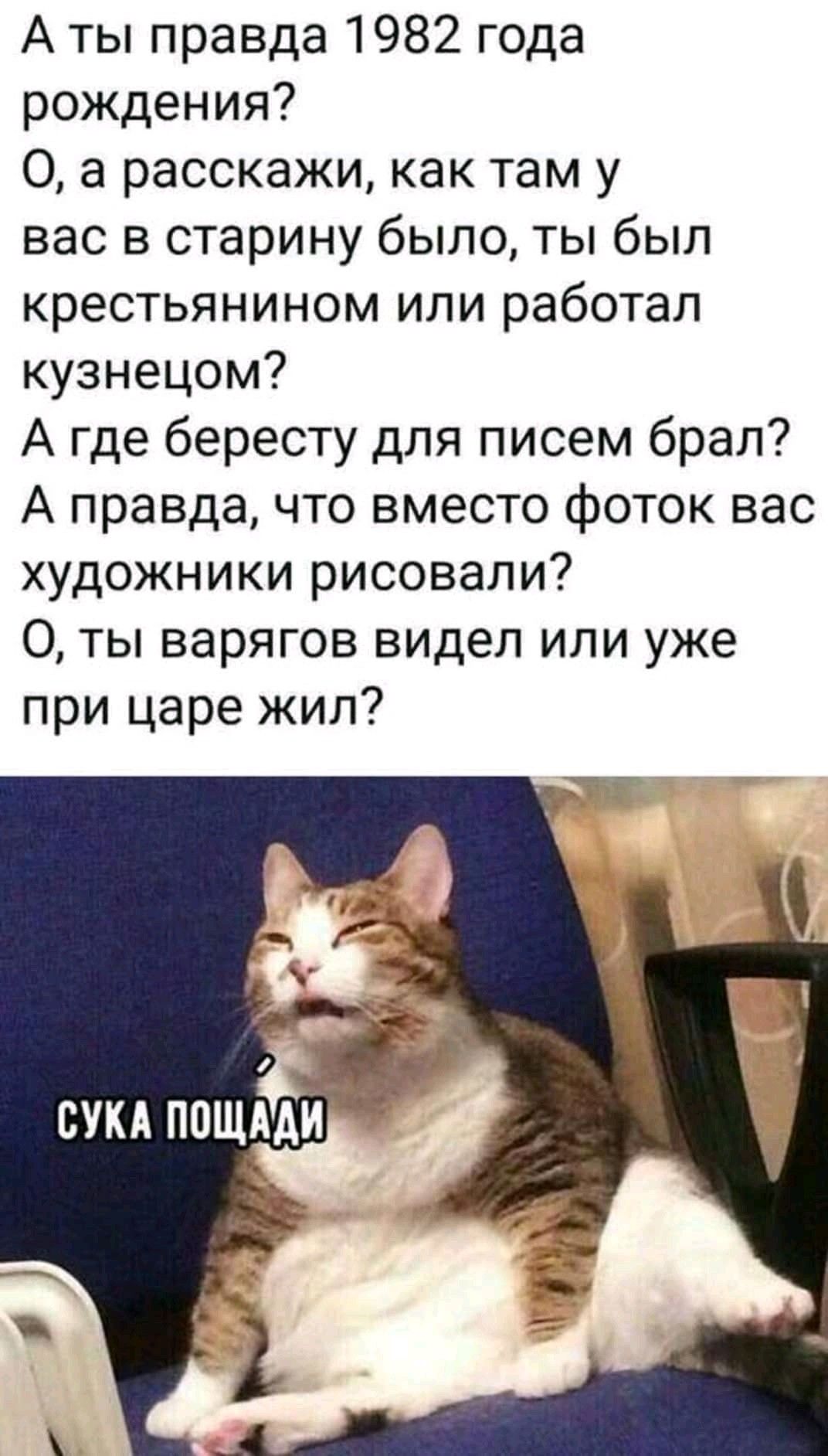 А ты правда 1982 года рождения?
O, а расскажи, как там у вас в старину было, ты был крестьянином или работал кузнецом?
А где бересту для писем брал?
А правда, что вместо фоток вас художники рисовали?
O, ты варягов видел или уже при царе жил?

СУКА ПОЩАДИ
