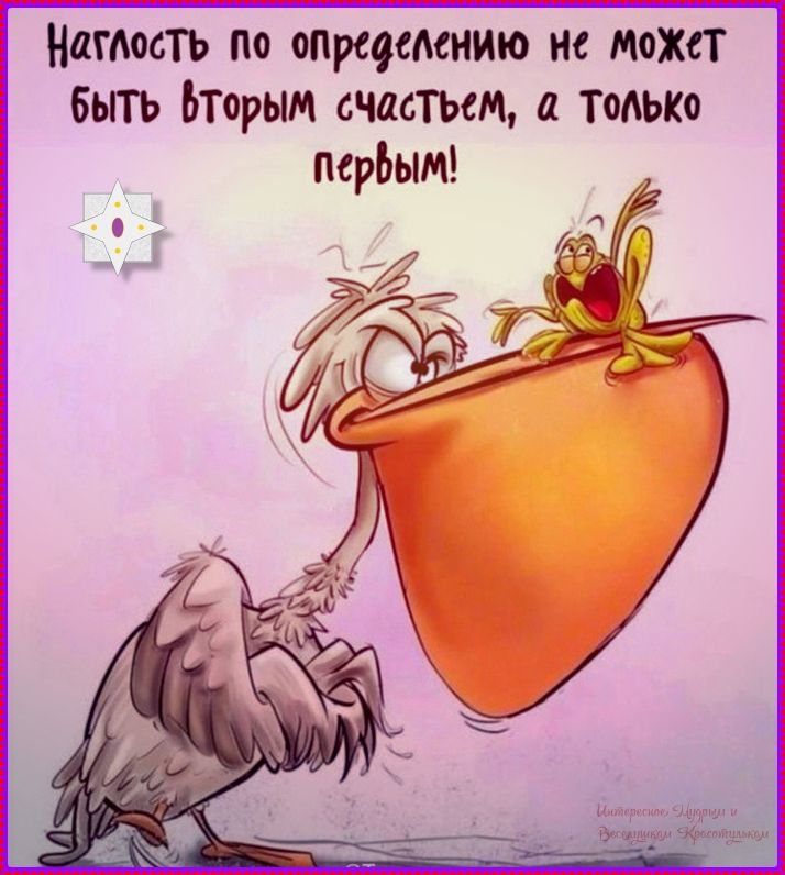 Наглость по определению не может быть вторым счастьем, а только первым!