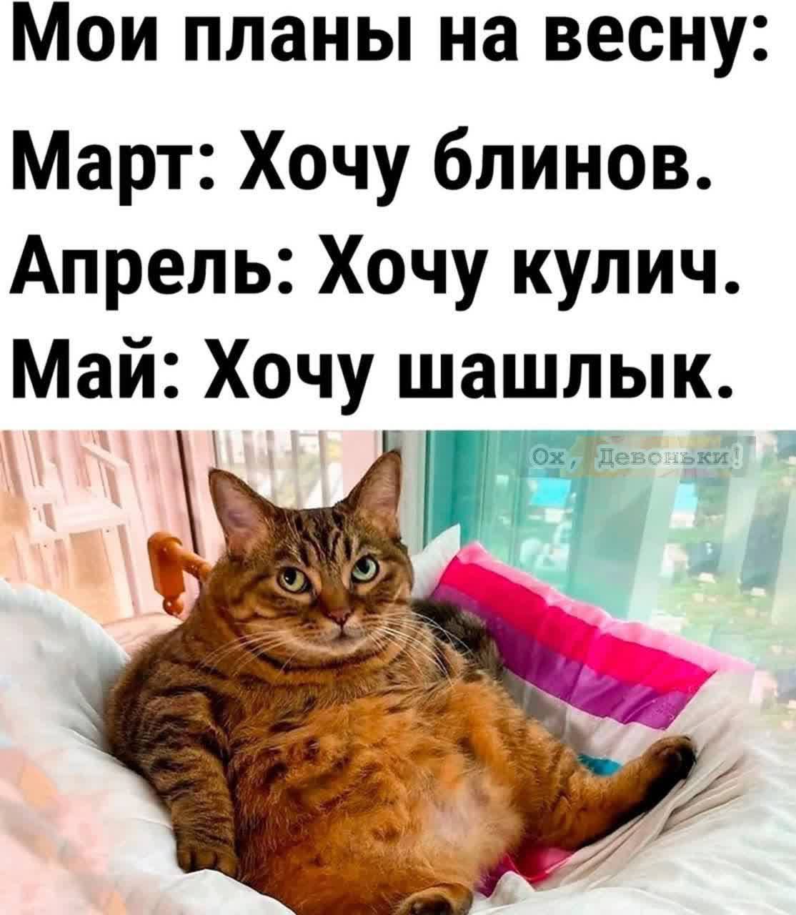 Мои планы на весну:
Март: Хочу блинов.
Апрель: Хочу кулич.
Май: Хочу шашлык.
