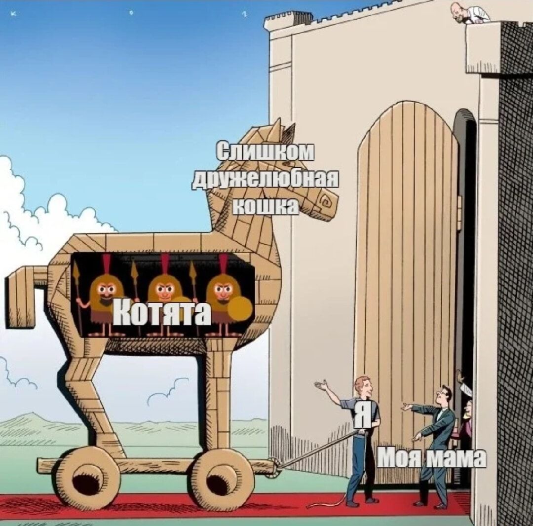 Слишком дружелюбная кошка
КОТЯТА
Я
Моя мама