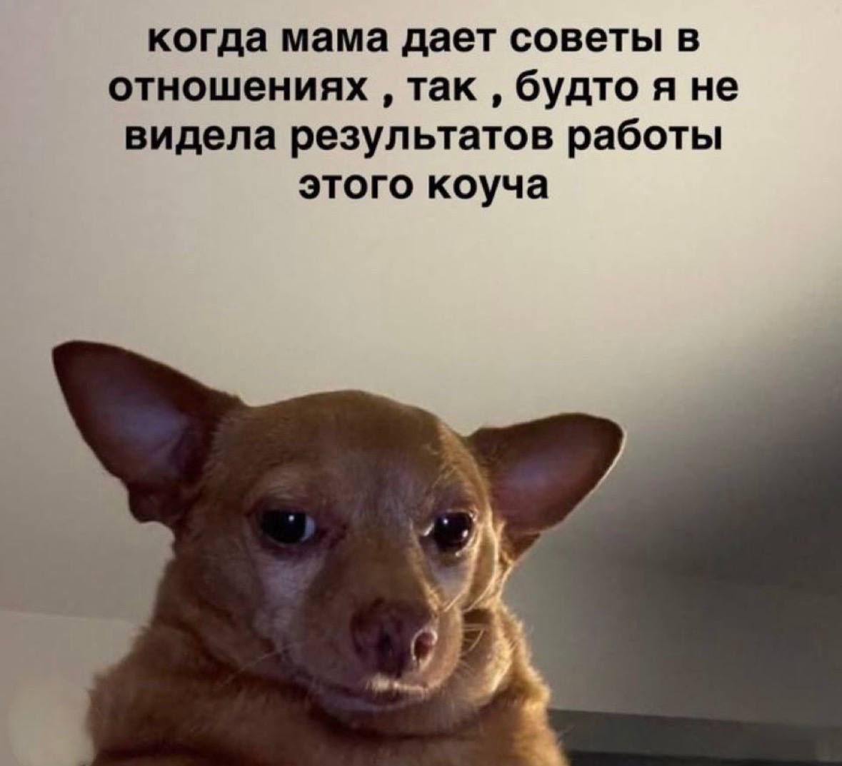 когда мама дает советы в отношениях , так , будто я не видела результатов работы этого коуча