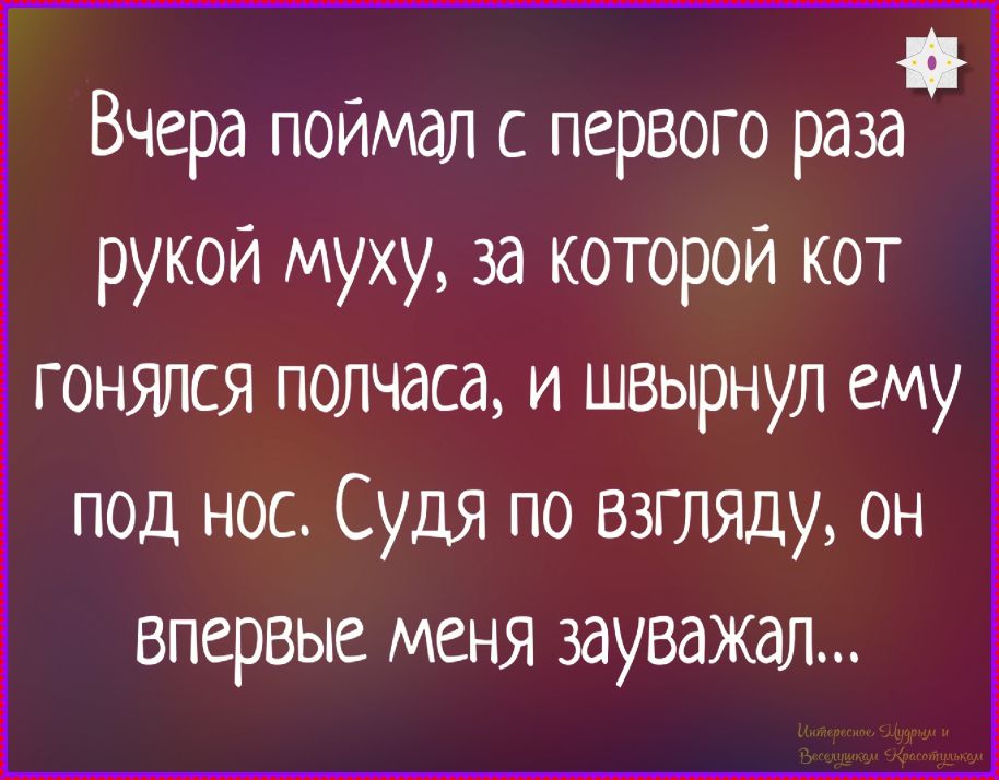 Вчера поймал с первого раза руку муху, за которой кот гонялся полчаса, и швырнул ему под нос. Судя по взгляду, он впервые меня зауважал...