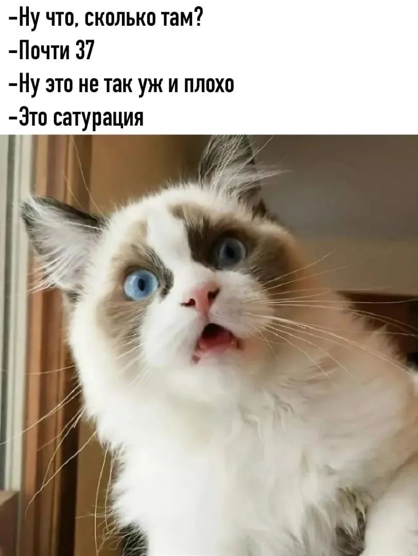 - Ну что, сколько там?
- Почти 37
- Ну это не так уж и плохо
- Это сатурация