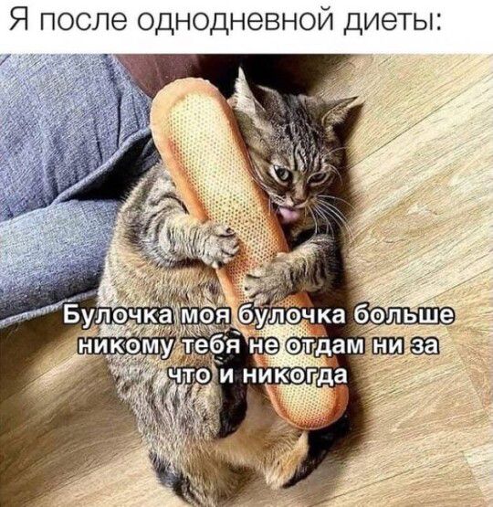 Я после однодневной диеты:
Булочка моя булочка больше никому тебя не отдам ни за что и никогда