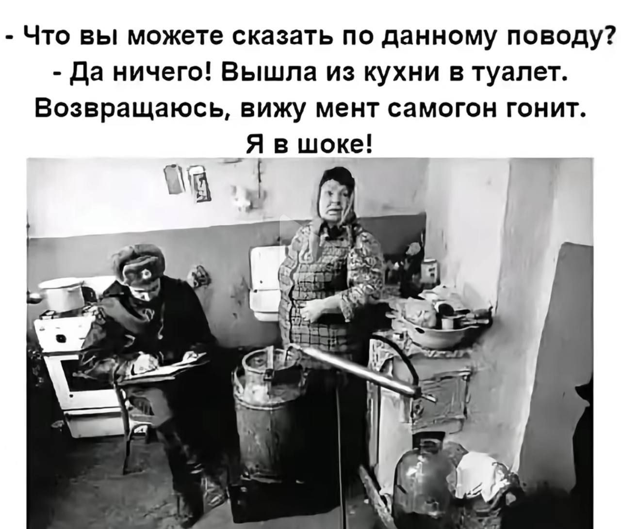 - Что вы можете сказать по данному поводу?
- Да ничего! Вышла из кухни в туалет.
Возвращаюсь, вижу мент самогон гонит.
Я в шоке!