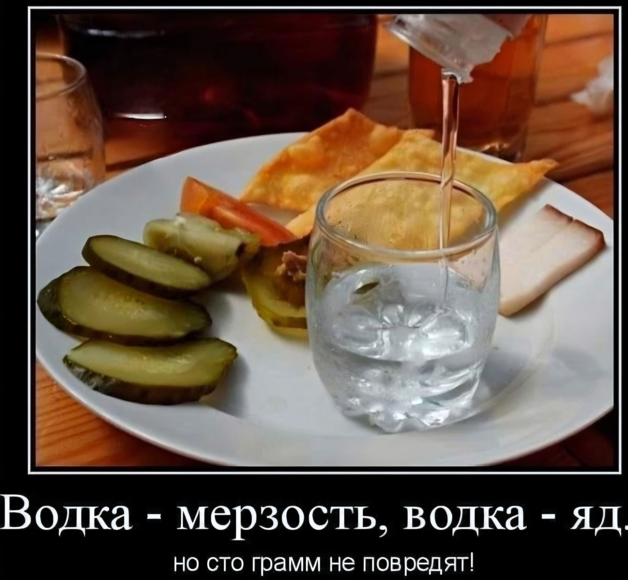 Водка - мерзость, водка - яд, но сто грамм не повредят!