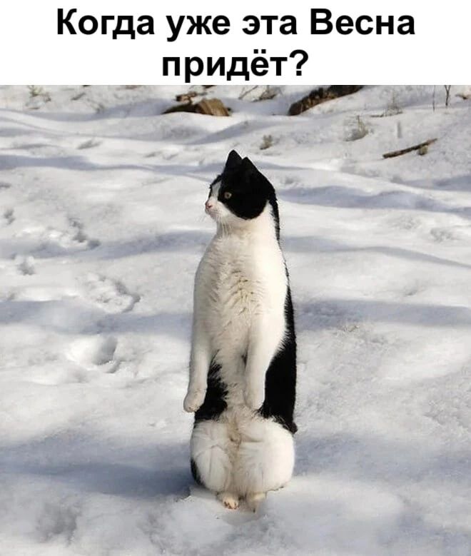 Когда уже эта Весна придёт?