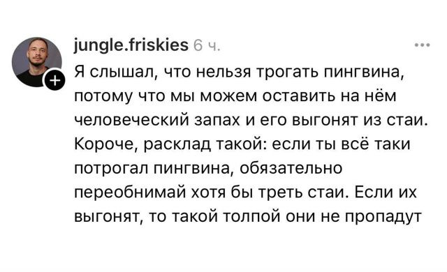 Я услышал, что нельзя трогать пингвина, потому что мы можем оставить на нём человеческий запах и его выгонят из стаи. Короче, расклад такой: если ты всё-таки потрогал пингвина, обязательно переобой хотя бы три стаи. Если их выгнят, то такой толпой они не пропадут