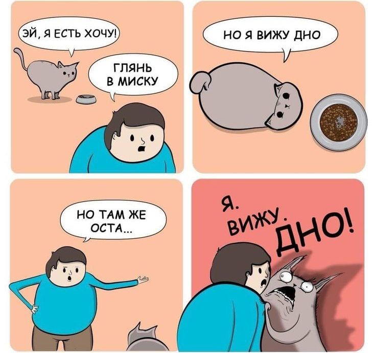 Эй, я есть хочу!
Глянь в миску
НО Я ВИЖУ ДНО
НО ТАМ ЖЕ ОСТАЛОСЬ...
Я.. ВИЖУ. ДНО!