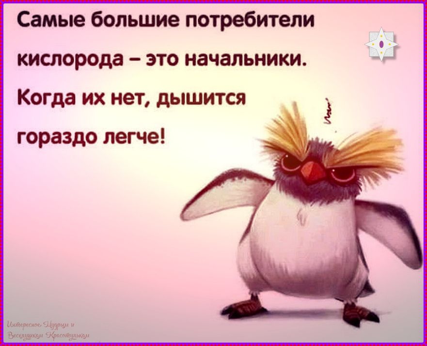 Самые большие потребители кислорода – это начальники. Когда их нет, дышится гораздо легче!