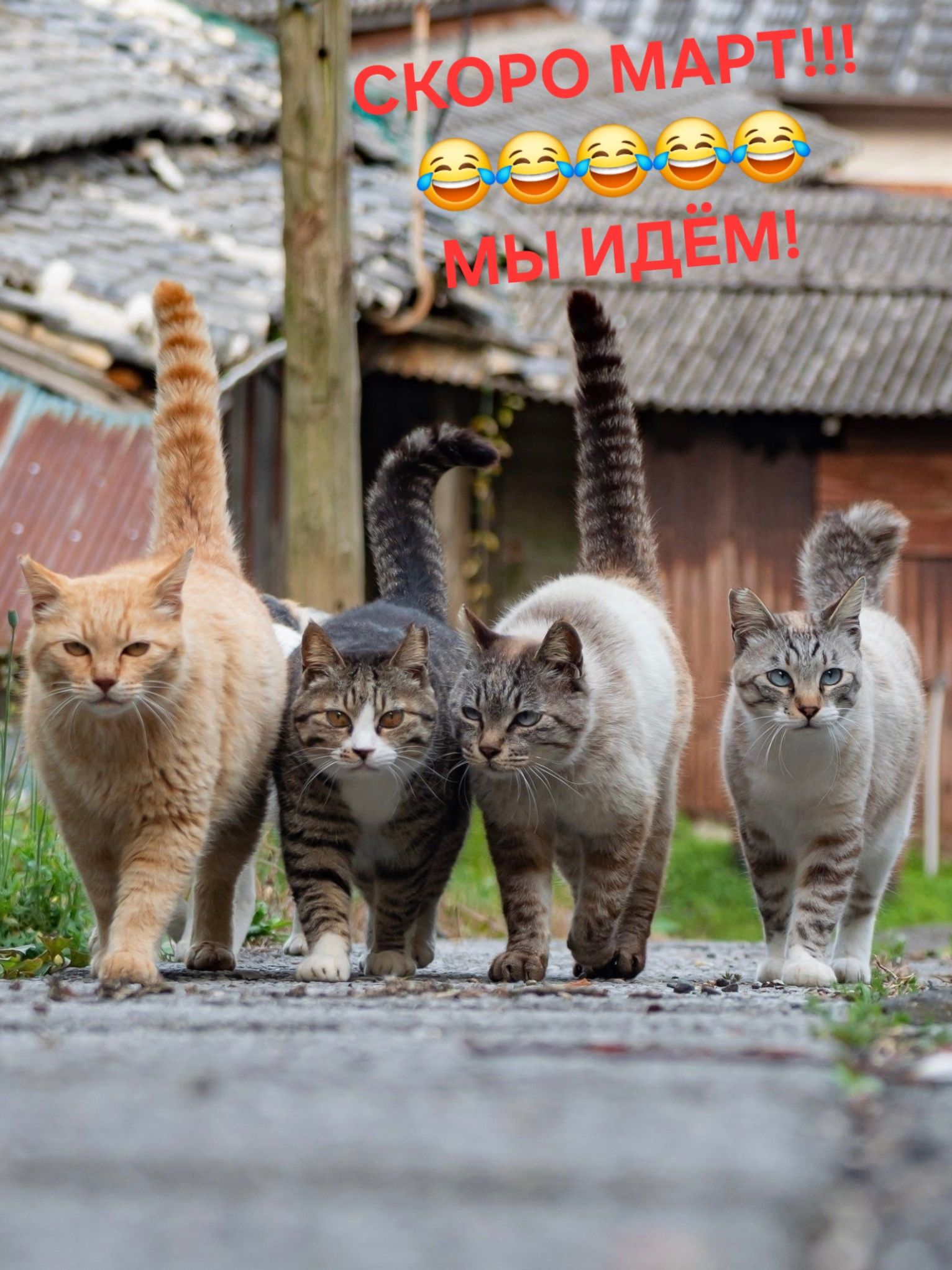 СКОРО МАРТ!!! 😂😂😂😂😂 МЫ ИДЁМ!