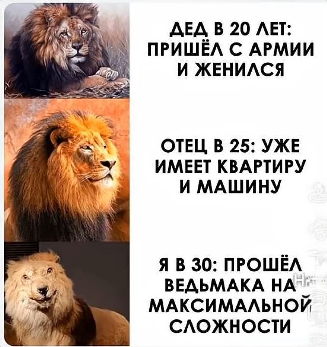 ДЕД В 20 ЛЕТ: ПРИШЁЛ С АРМИИ И ЖЕНИЛСЯ
ОТЕЦ В 25: УЖЕ ИМЕЕТ КВАРТИРУ И МАШИНУ
Я В 30: ПРОШЁЛ ВЕДЬМАКА НА МАКСИМАЛЬНОЙ СЛОЖНОСТИ