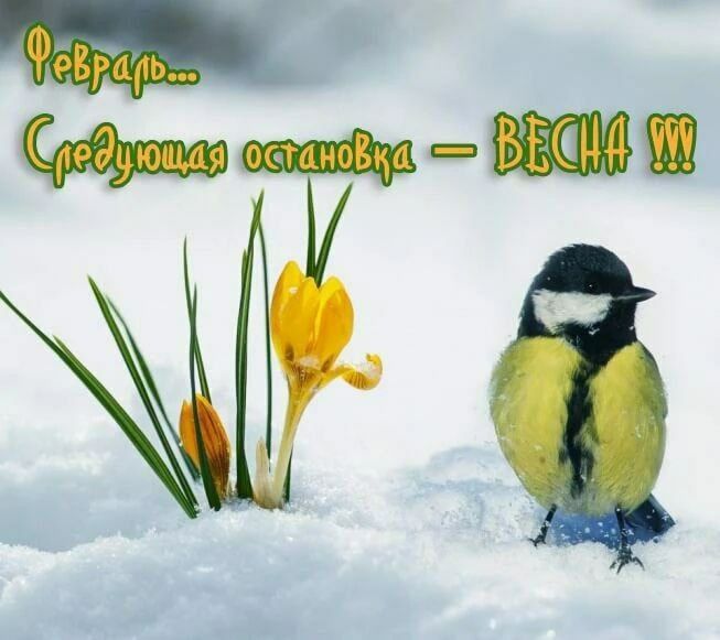 Февраль... Середущая остановка - ВЕСНА !!!