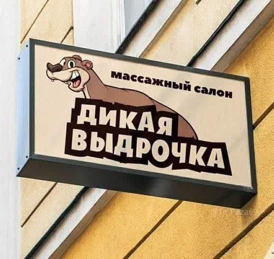 Массажный салон\nДикая Выдрончка
