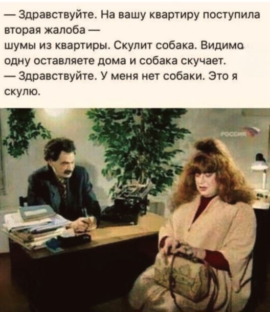 — Здравствуйте. На вашу квартиру поступила вторая жалоба — шумы из квартиры. Скулит собака. Видимо одну оставляете дома и собака скучает. — Здравствуйте. У меня нет собаки. Это я скучаю.