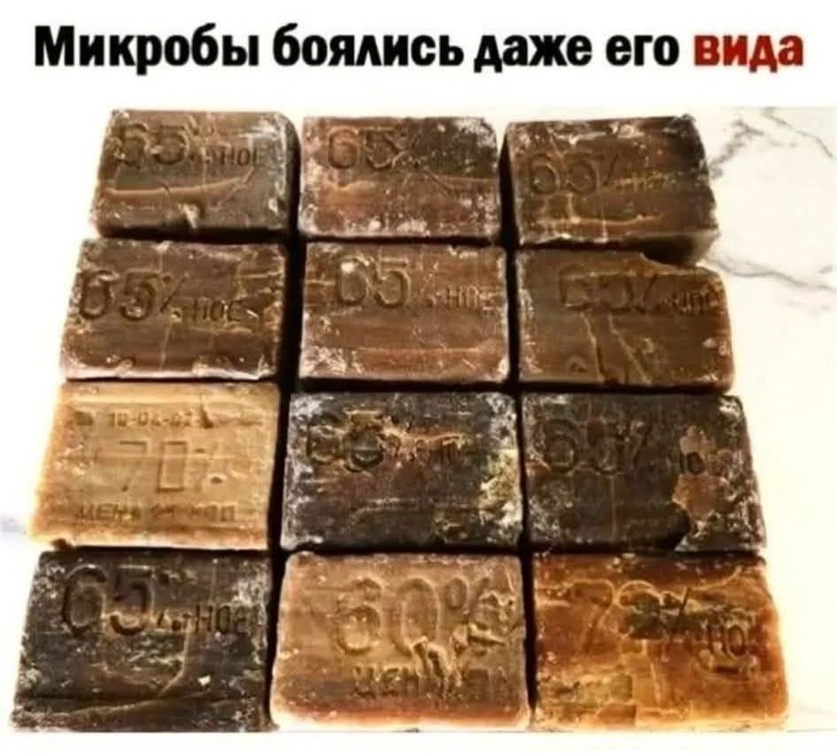 Микрoбы боялись даже его вида