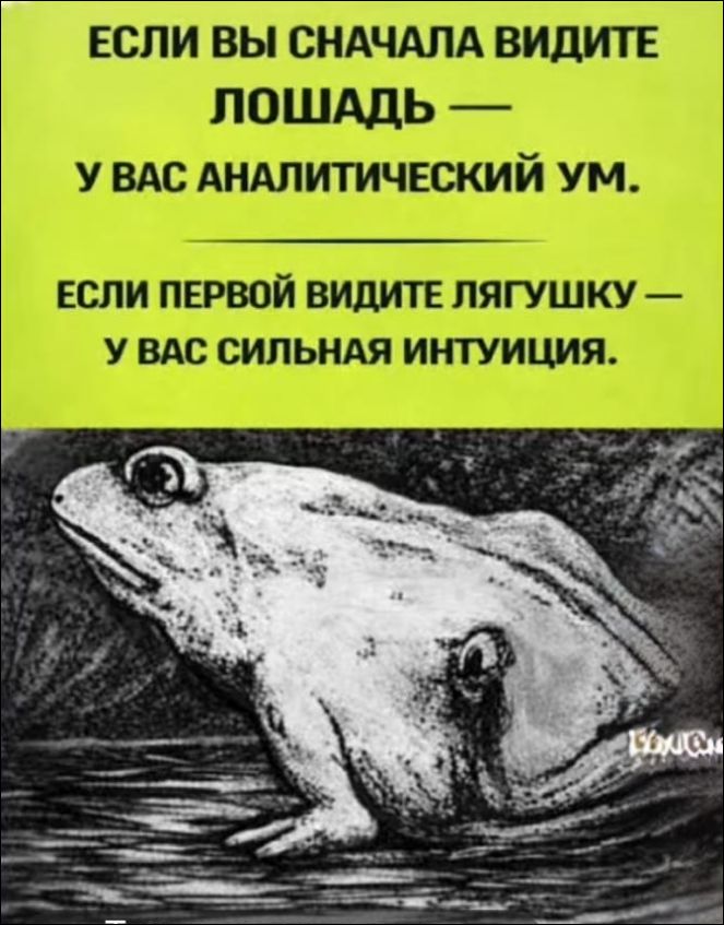 ЕСЛИ ВЫ СНАЧАЛА ВИДИТЕ ЛОШАДЬ — У ВАС АНАЛИТИЧЕСКИЙ УМ.\n\nЕСЛИ ПЕРВОЙ ВИДИТЕ ЛЯГУШКУ — У ВАС СИЛЬНАЯ ИНТУИЦИЯ.