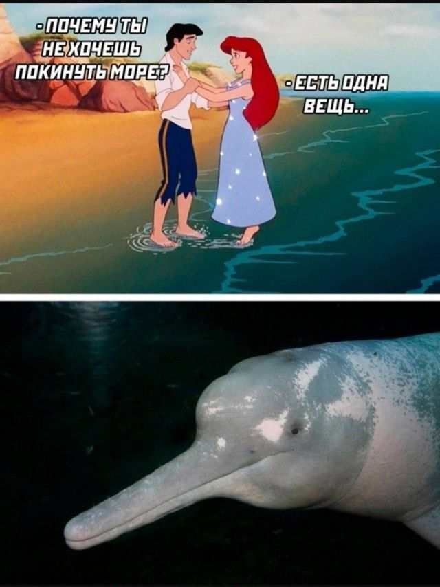 — ПОЧЕМУ ТЫ НЕ ХОЧЕШЬ ПОКИНУТЬ МОРЕ? — ЕСТЬ ОДНА ВЕЩЬ...