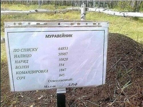 МУРАВЬЕВНИК
ПО СПИСКУ 64853
НАЛИЦЕ 50987
НАРЯД 10820
БОЛЕН 354
КОМАНДИРОВОК 1847
СОЧ 845
Ответственный: М.Л-о?  Д. Руф