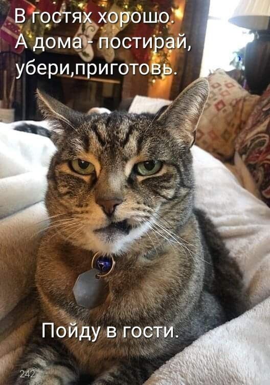 В гостях хорошо.
А дома - постирай, убери,приготовь.
Пойду в гости.