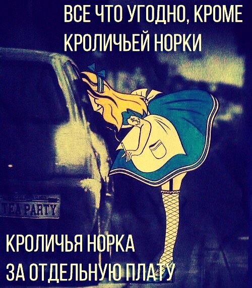 Все что угодно, кроме кроличьей норки
Кроличья норка за отдельную плату