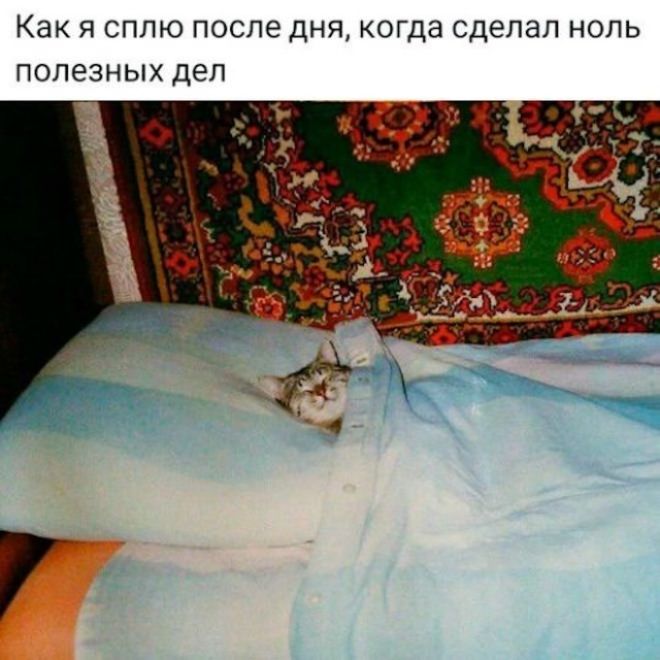 Как я сплю после дня, когда сделал ноль полезных дел