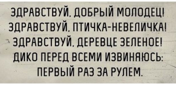 ЗДРАВСТВУЙ, ДОБРЫЙ МОЛОДЕЦ!
ЗДРАВСТВУЙ, ПТИЧКА-НЕВЕЛИЧКА!
ЗДРАВСТВУЙ, ДЕРЕВЕЦЕ ЗЕЛЕНОЕ!
ДИКО ПЕРЕД ВСЕМИ ИЗВИНЯЮСЬ: ПЕРВЫЙ РАЗ ЗА РУЛЕМ.