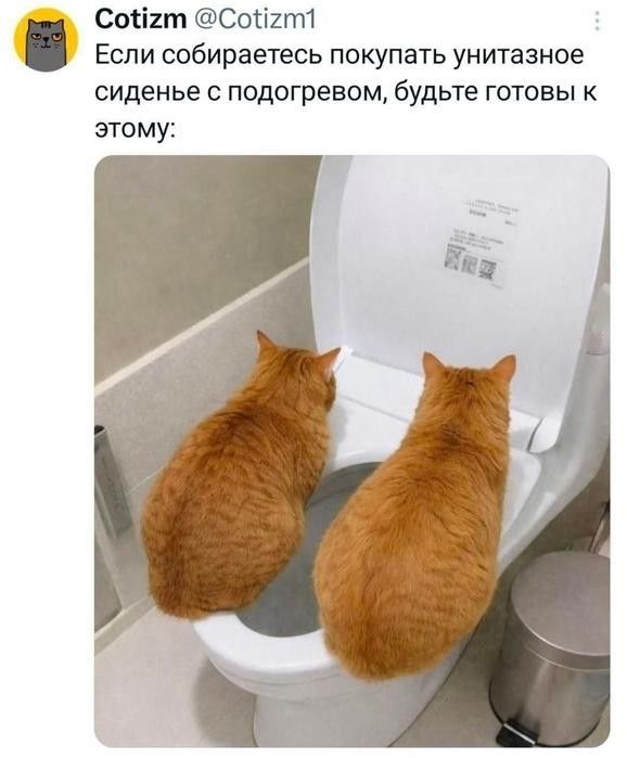 Cotizm @Cotizm1 Если собираетесь покупать унитазное сиденье с подогревом, будьте готовы к этому: