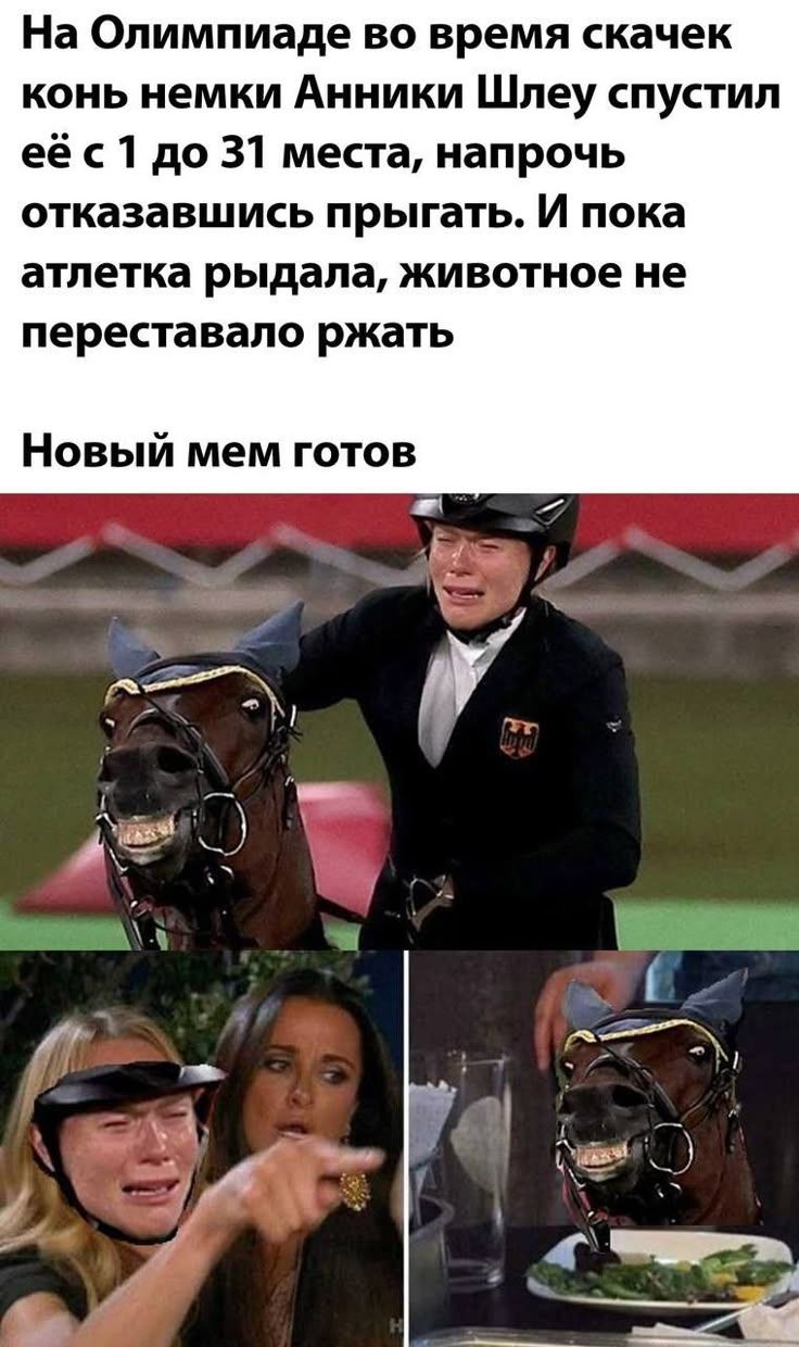 На Олимпиаде во время скачек конь немки Анниски Шлеу спустил её с 1 до 31 места, напрочь отказавшись прыгать. И пока атлетка рыдала, животное не переставало ржать\nНовый мем готов