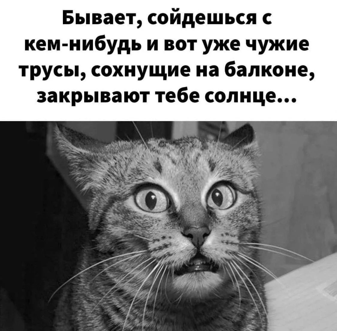 Бывает, соойдёшься с кем-нибудь и вот уже чужие трусы, соскучившие на балконе, закрывают тебе солнце...