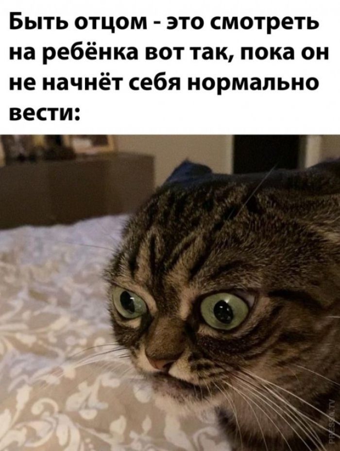 Быть отцом - это смотреть на ребенка вот так, пока он не начнёт себя нормально вести: