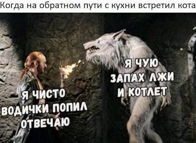 Когда на обратном пути с кухни встретил кота
Я чисто водички попил отвечаю
Я чую запах лжи и котлет