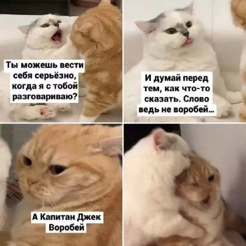 Ты можешь вести себя серьёзно, когда я с тобой разговариваю?\nИ думай перед тем, как что-то сказать. Слово ведь не воробей...\nА Капитан Джек Воробей