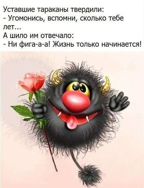 Уставшие тараканы твердили:
- Угомонись, вспомни, сколько тебе лет...
А шило им отвечало:
- Ни фига-а! Жизнь только начинается!