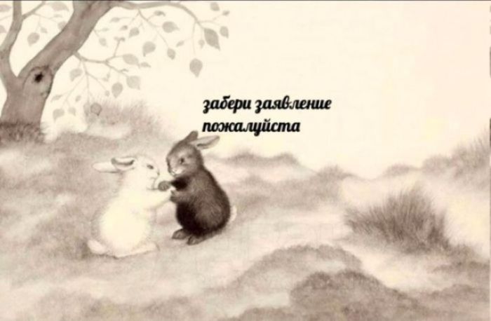 забери заявление пожалуйста