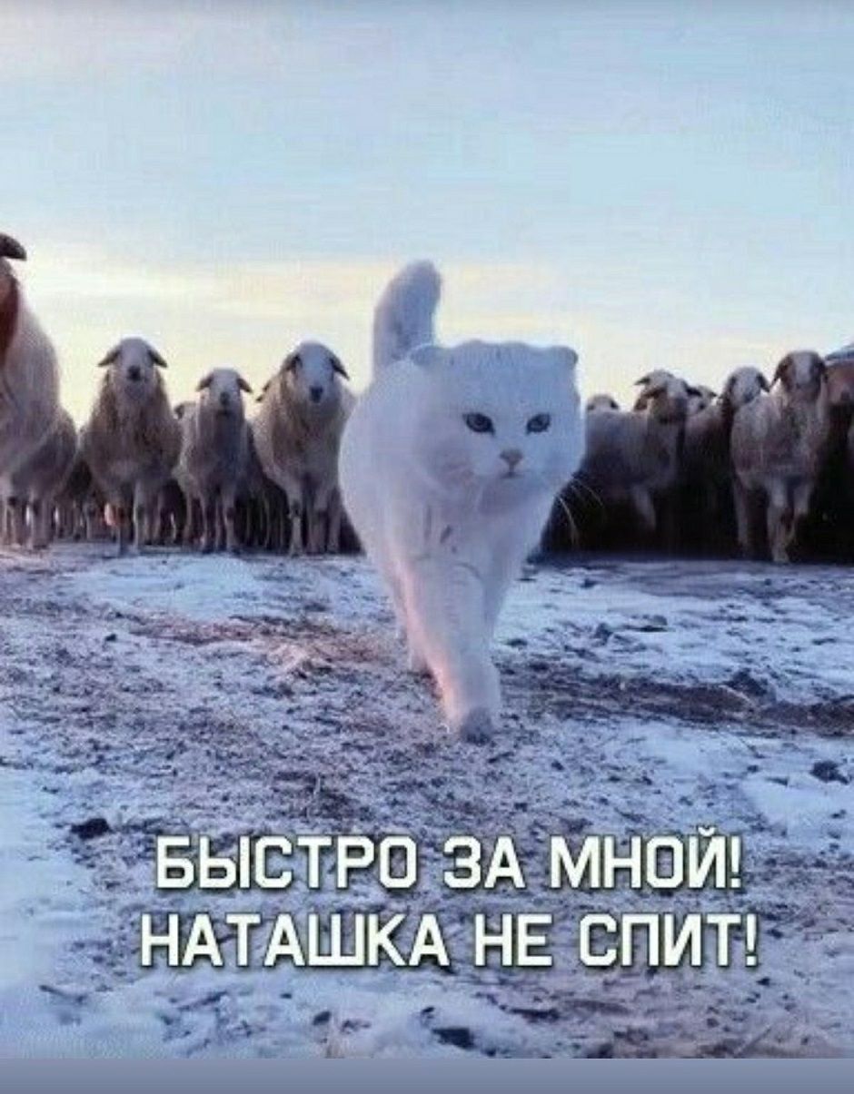 БЫСТРО ЗА МНОЙ! НАТАШКА НЕ СПИТ!