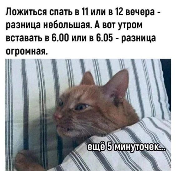 Ложиться спать в 11 или в 12 вечера - разница небольшая. А вот утром вставать в 6.00 или в 6.05 - разница огромная.
ещё 5 минуток...