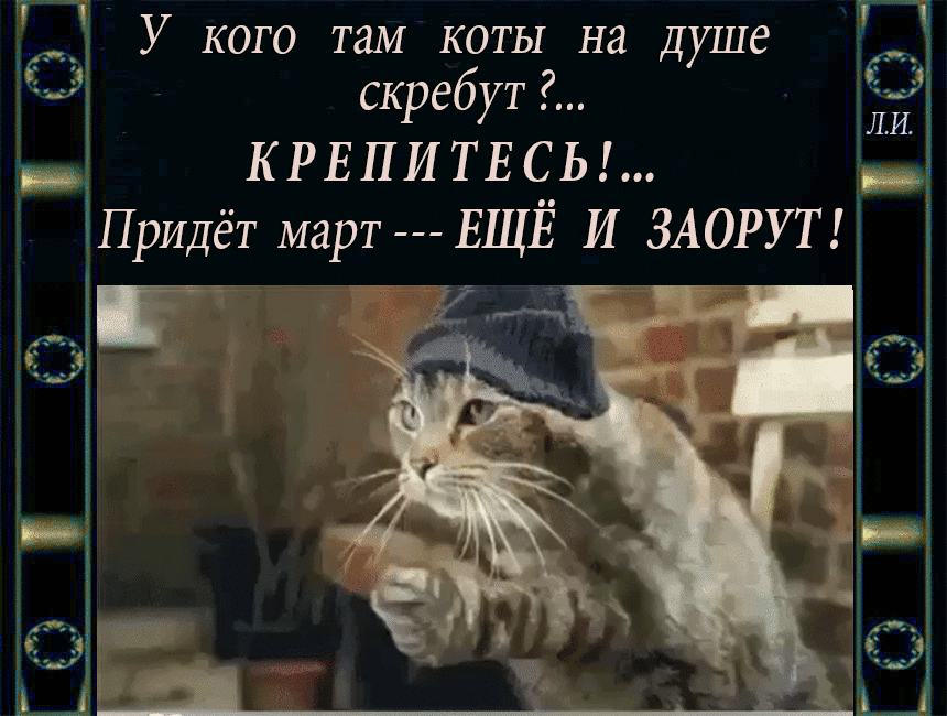 У кого там коты на душе скребут?... КРЕПИТЕСЬ!... Придёт март --- ЕЩЁ И ЗАОРУТ!