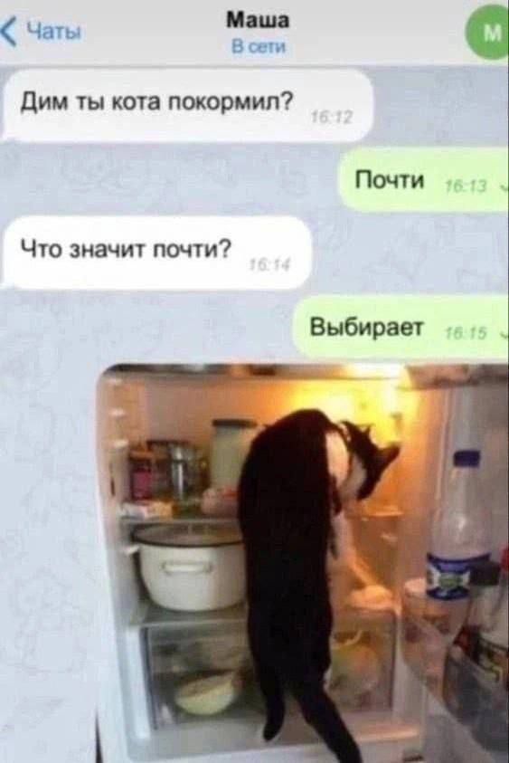 Дим ты кота покормил?\nПочти\nЧто значит почти?\nВыбирает