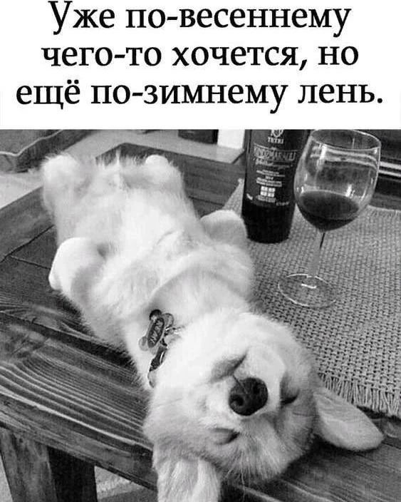 Уже по-весеннему чего-то хочется, но ещё по-зимнему лень.