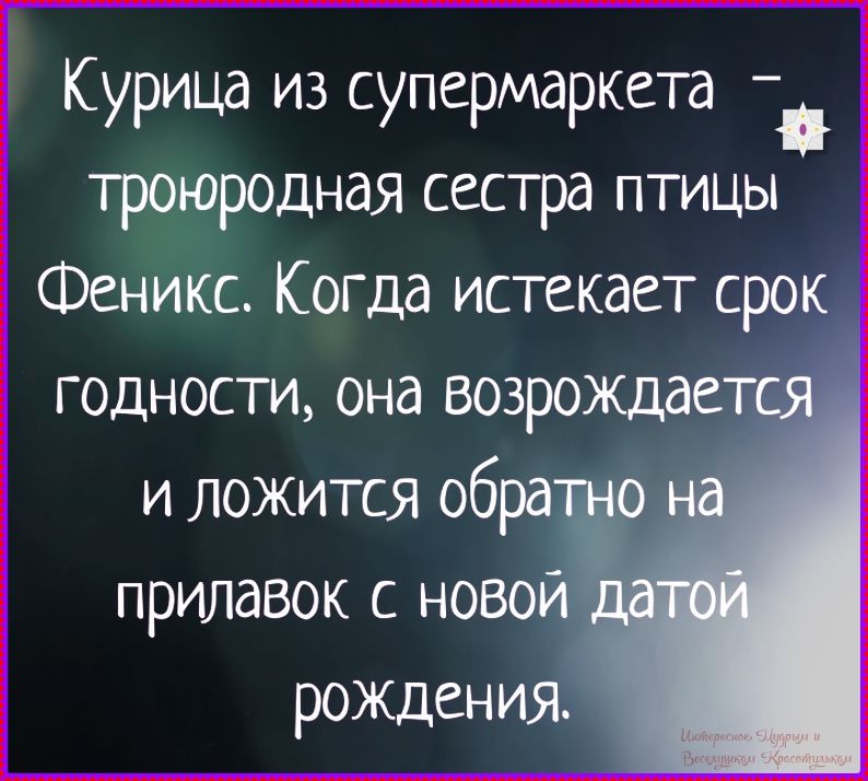 Курица из супермаркета – трогородная сестра птицы Феникс. Когда истекает срок годности, она возрождается и ложится обратно на прилавок с новой датой рождения.