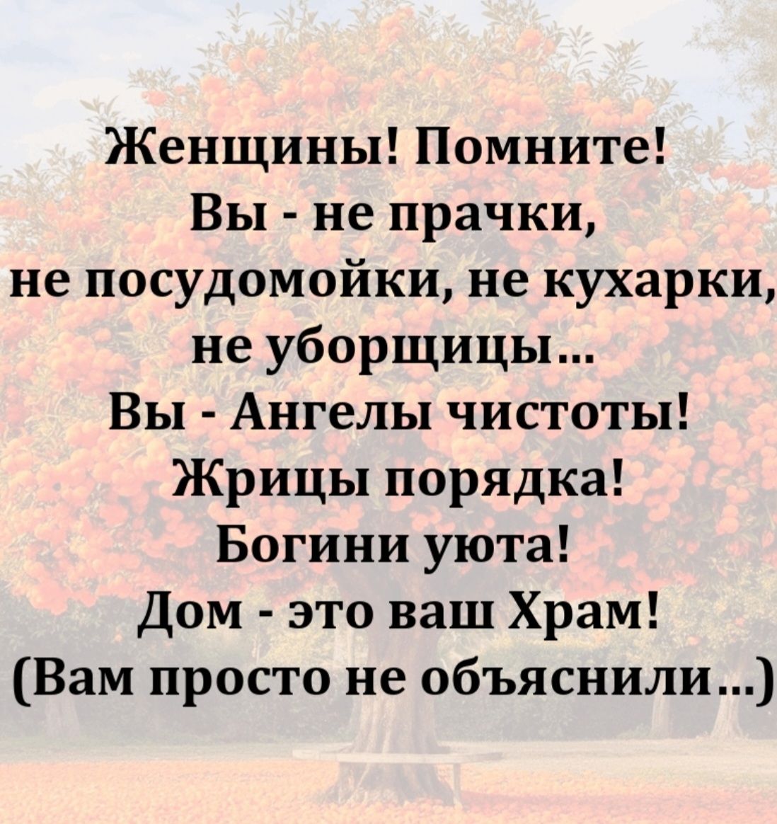 Женщины! Помните! Вы - не прачки, не посудомойки, не кухарки, не уборщицы… Вы - Ангелы чистоты! Жрицы порядка! Богини уюта! Дом - это ваш Храм! (Вам просто не объяснили …)