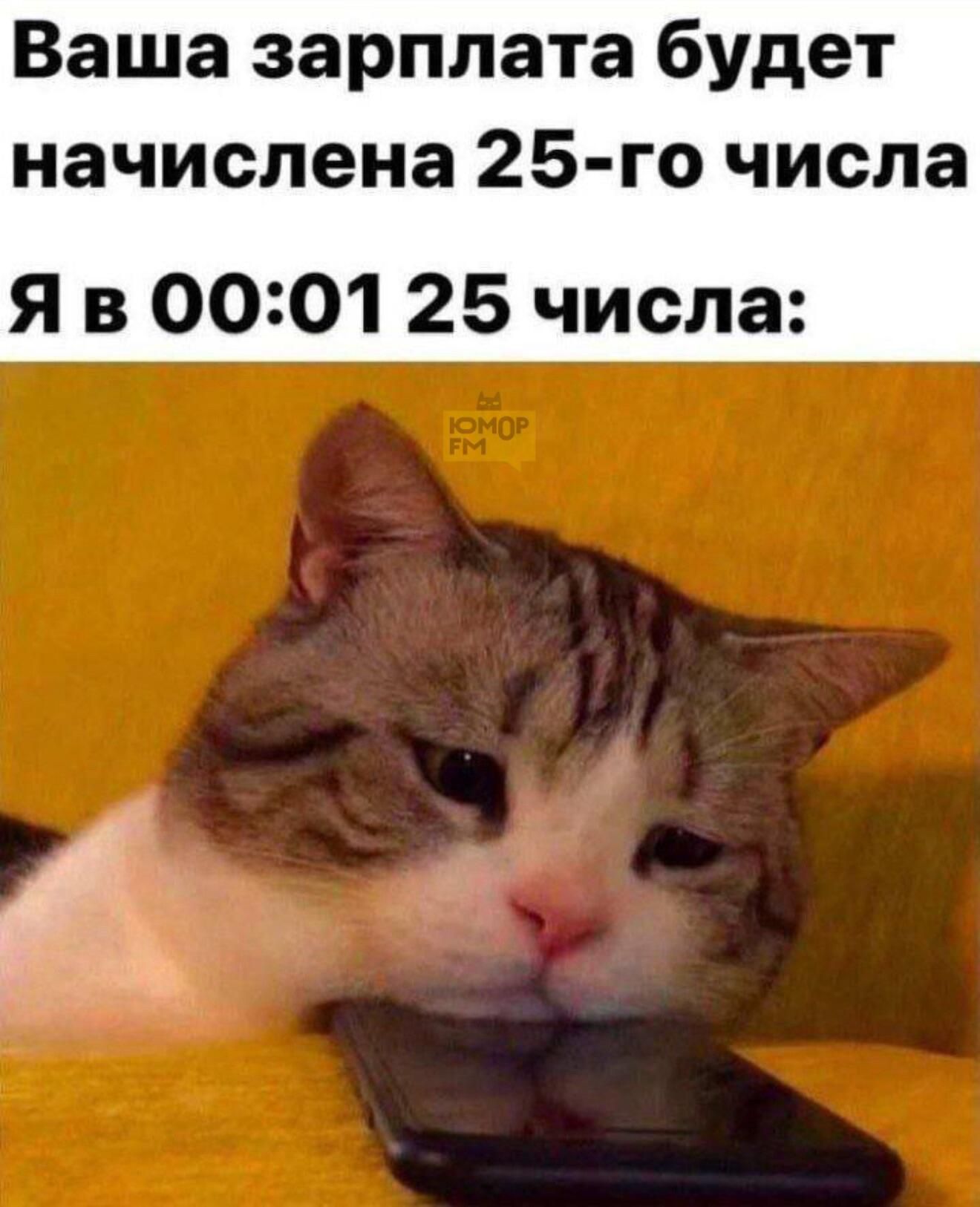 Ваша зарплата будет начислена 25-го числа
Я в 00:0125 числа: